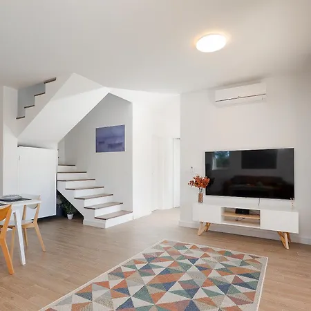 Papa's Court Ii With Pool