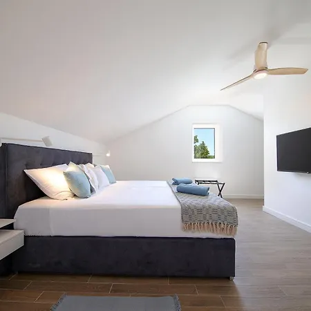 Papa's Court Ii With Pool Villa Pašman