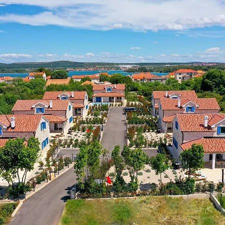 Papa's Court Ii With Pool