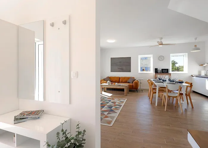 Papa's Court Ii With Pool *