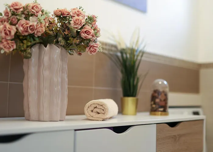 فيلة Papa's Court Ii With Pool