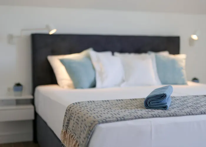 فيلة Papa's Court Ii With Pool